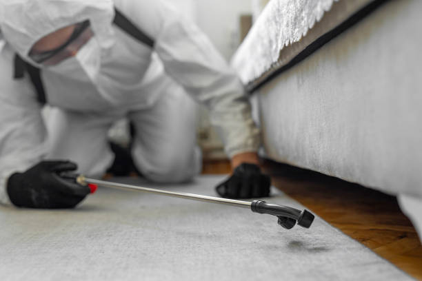 Professional Termite Control technician working in Linden, CA