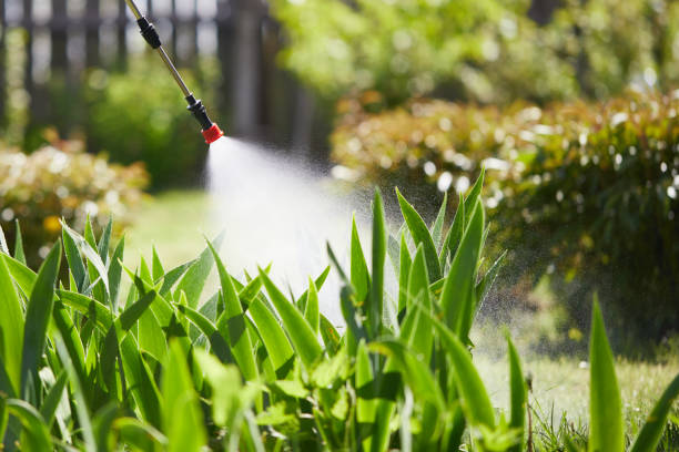 24/7 Emergency Termite Control experts in Linden, CA